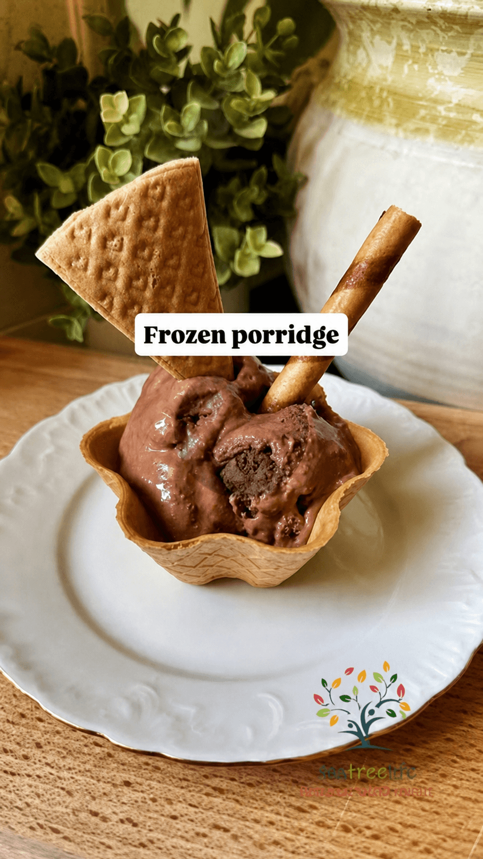 Frozen Porridge al Cacao